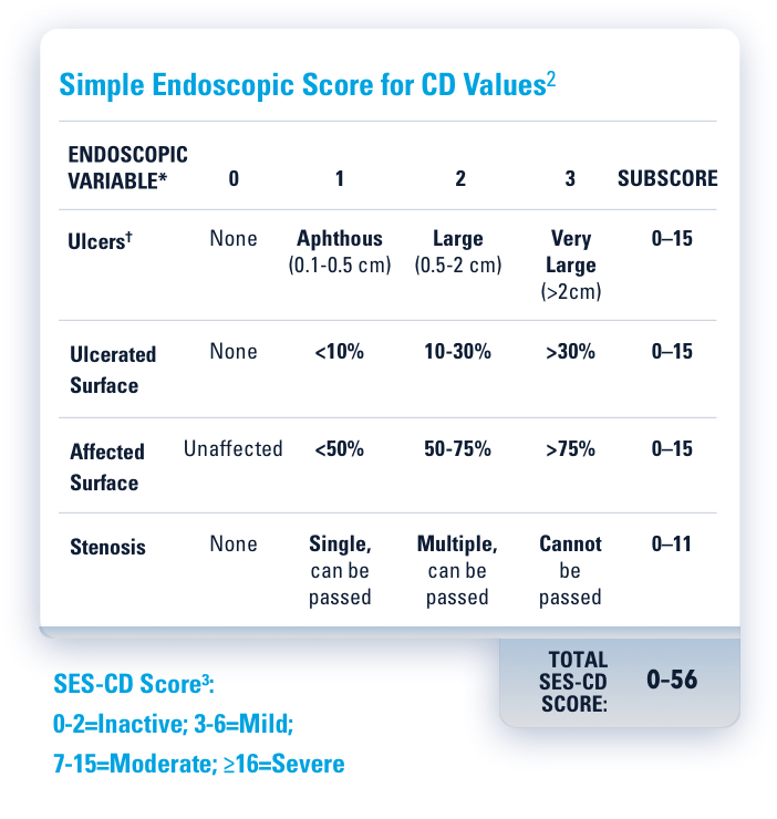 Simple Endoscopic Score for CD Values