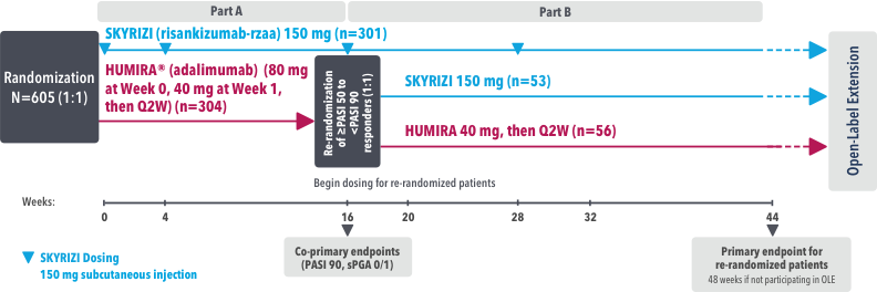 IMMvent study design
