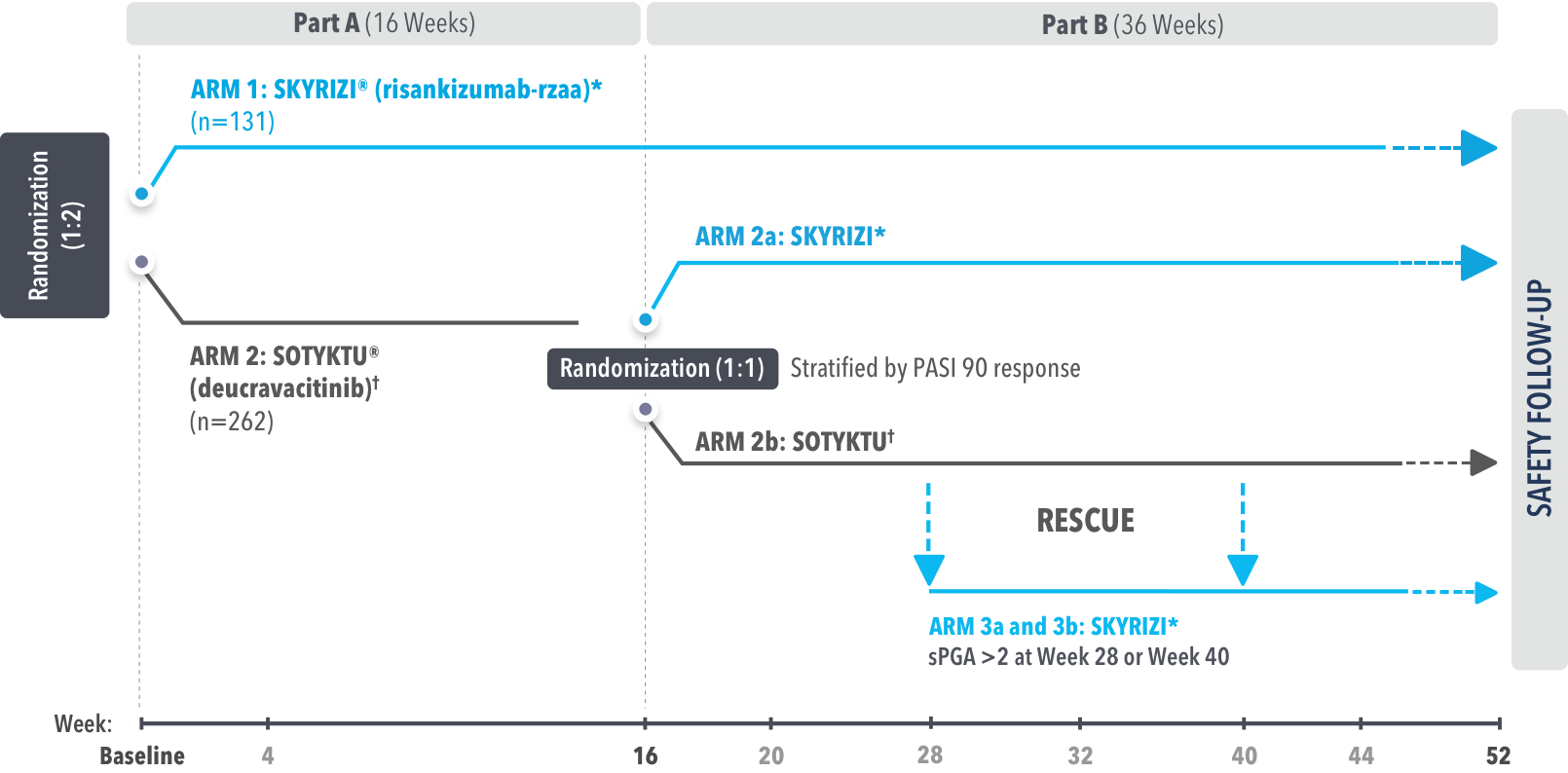 STUDY DESIGN - IMMpactful.