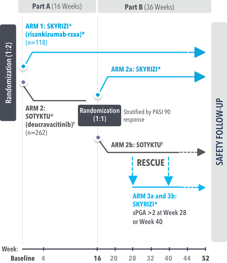 STUDY DESIGN - IMMpactful.